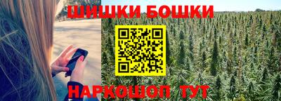 амф Боровичи