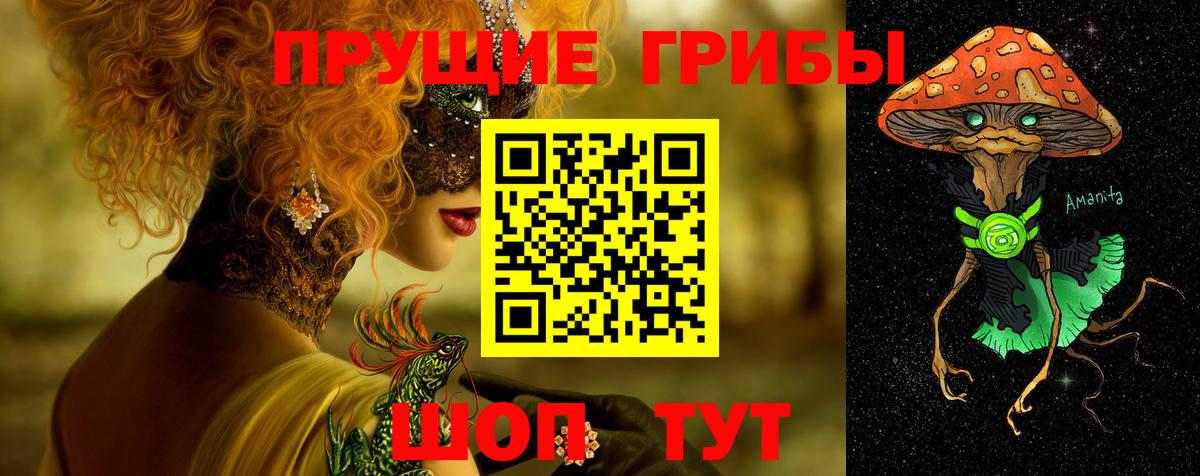 Псилоцибиновые грибы Psilocybine cubensis Волгоград