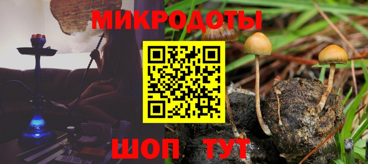 Волгоград  Псилоцибиновые грибы Psilocybine cubensis  Псилоцибиновые грибы Cubensis  Вход с VPN 