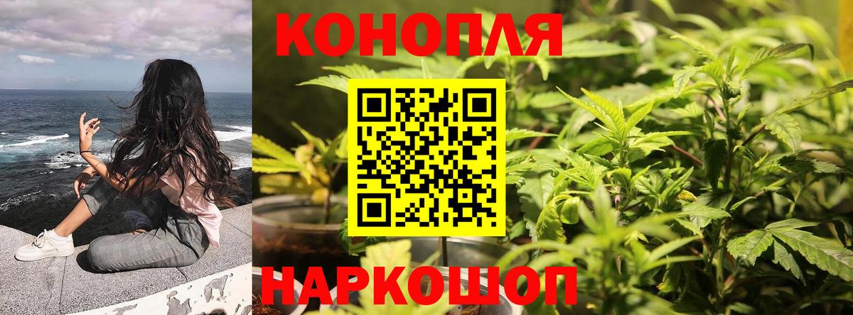 Бошки марихуана сатива  Бошки марихуана SATIVA & INDICA  Волгоград  Вход с VPN  Бошки Шишки MAZAR  Шишки марихуана марихуана 